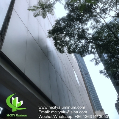 Revestido en polvo Panel perforado no estándar de aluminio metálico utilizado para el exterior del edificio