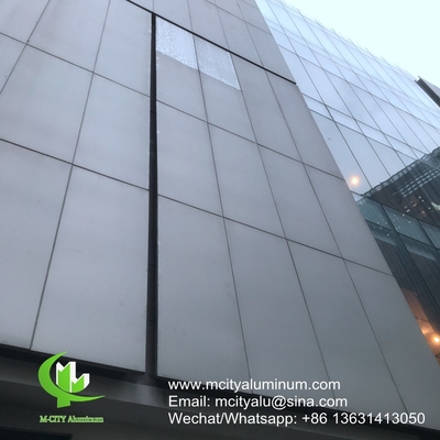 Revestido en polvo Panel perforado no estándar de aluminio metálico utilizado para el exterior del edificio